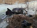 В Бобровском районе автомобиль упал в реку