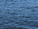 Двое мужчин погибли в водоёмах Воронежской области