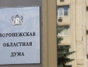 В Воронежской области в первый день проголосовали более 25%