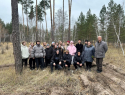 В Бобровском районе для школьников провели мастер-класс по посадке сеянцев сосны