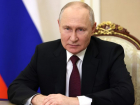 Жители Воронежской области смогут задать вопросы президенту Владимиру Путину