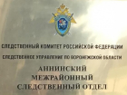 Следственным комитетом  Воронежской области организована проверка по сообщению о нападении собаки на ребенка