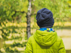 В Таловском районе закрыли поиски пропавшего 12-летнего мальчика