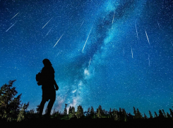 Воронежцы смогут увидеть в ноябре яркий звездопад