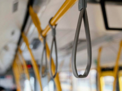 Воронежская область получит 50 школьных автобусов