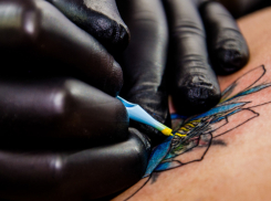 Тату-мастера из Боброва осудили за мошенничество с соцвыплатами