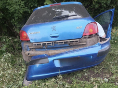 В Панинском районе водитель на «Пежо» врезался в дерево 