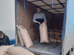 Таловские сельхозтоваропроизводители отправили в зону СВО очередную гумпомощь