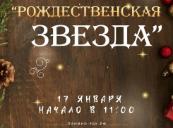 В Панинском районе пройдёт фестиваль «Рождественская звезда»