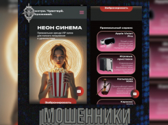 Жителей Воронежской области предупредили о мошенничестве с круглосуточным кинотеатром