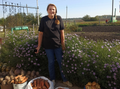 Жительница Панинского района передала бойцам СВО овощи со своего огорода