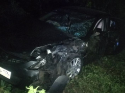 В Панино полицейским попал в ДТП, в котором погиб воронежец