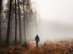 В 2024 году в Воронежской области нашли 787 человек пропавших без вести