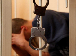 В Аннинском районе осудили поджигателя