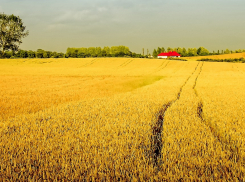 Названия 22 воронежских населённых пунктов вошли в число самых смешных в стране