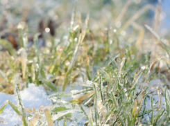 В Воронежскую область вернётся похолодание и снег