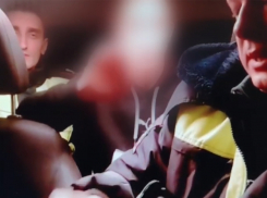 В Таловском районе пьяный водитель пытался обмануть экипаж ДПС