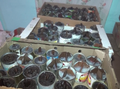 Три сестры из Таловского района подготовили для бойцов СВО блиндажные свечи