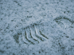 В Воронежскую область вслед за оттепелью придут морозы