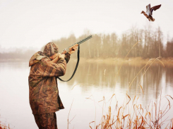 В Воронежской области правило охоты нарушили 138 жителей