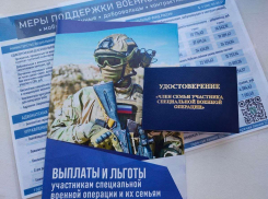 Воронежскую систему лечения и реабилитации участников СВО внедрят и в других регионах России