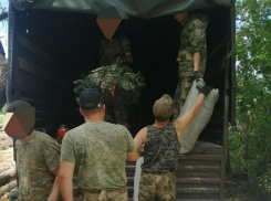 Панинские волонтёры отправили гуманитарную помощь в зону СВО