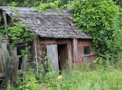 С 1 марта у воронежских дачников начнут изымать заброшенные участки