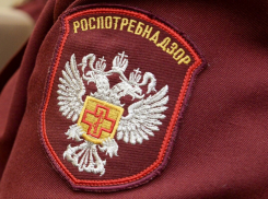 В Воронежской области оштрафовали 12 предприятий за нарушения при хранении мяса