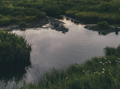 В Панинском районе капитально отремонтируют плотину Шанинского пруда