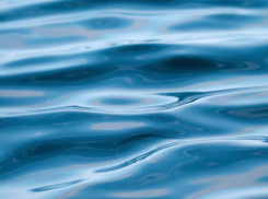 Санитарные врачи назвали безопасные пляжи в Воронежской области