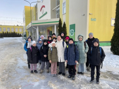 Бобровские пловцы приняли участие в областных соревнованиях «Резерв Воронежской области»