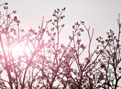 В Воронежской области ожидаются резкие перепады температуры