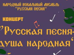 Жителей Панинского района приглашают на концерт «Русская песня – душа народная»