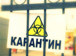 В посёлке в Эртильском районе из-за лейкоза ввели карантин