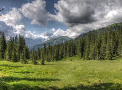 В Воронежской области запретили въезд в леса до середины октября