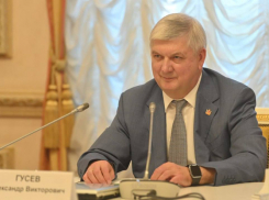 Губернатор Воронежской области попал в список сайта «Миротворец»*
