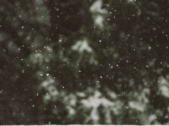 В Воронежской области метеорологи обещают снежную и морозную Рождественскую ночь