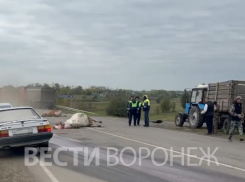В Таловском районе 44-летний мужчина на грузовике сбил стадо коров