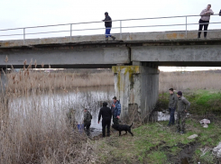 Жители трёх сёл Аннинского района своими силами спасают реку от загрязнений