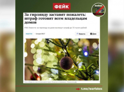 В Воронежской области разоблачили фейк о штрафах за новогодние гирлянды