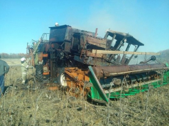 В Таловском районе огонь уничтожил комбайн