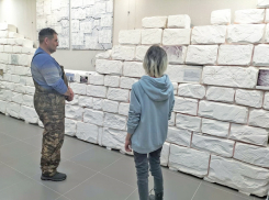 В Эртильском музее открылась выставка «Хазарские крепости. Маяцкие граффити»