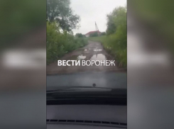 Жители Эртиля пожаловались на непроходимые дороги