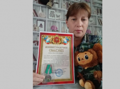 В Таловском районе КамАЗ вылетел в кювет и перевернулся