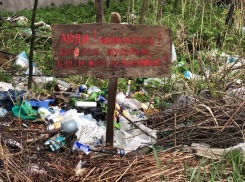 В Таловском районе прокуратура нашла 7 незаконных свалок