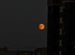 Жители Воронежской области поделились эффектными кадрами лунного затмения