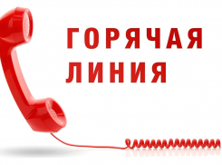 В Воронежской области открылась горячая линия по поддержке семей бойцов СВО