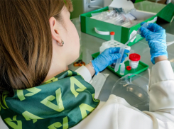 В Высоковской школе Таловского района модернизировали агротехкласс