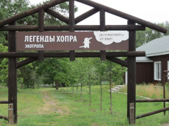 В Хопёрском заповеднике открыли для посещения экотропу