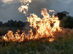 В апреле в Воронежской области могут ввести особый противопожарный режим